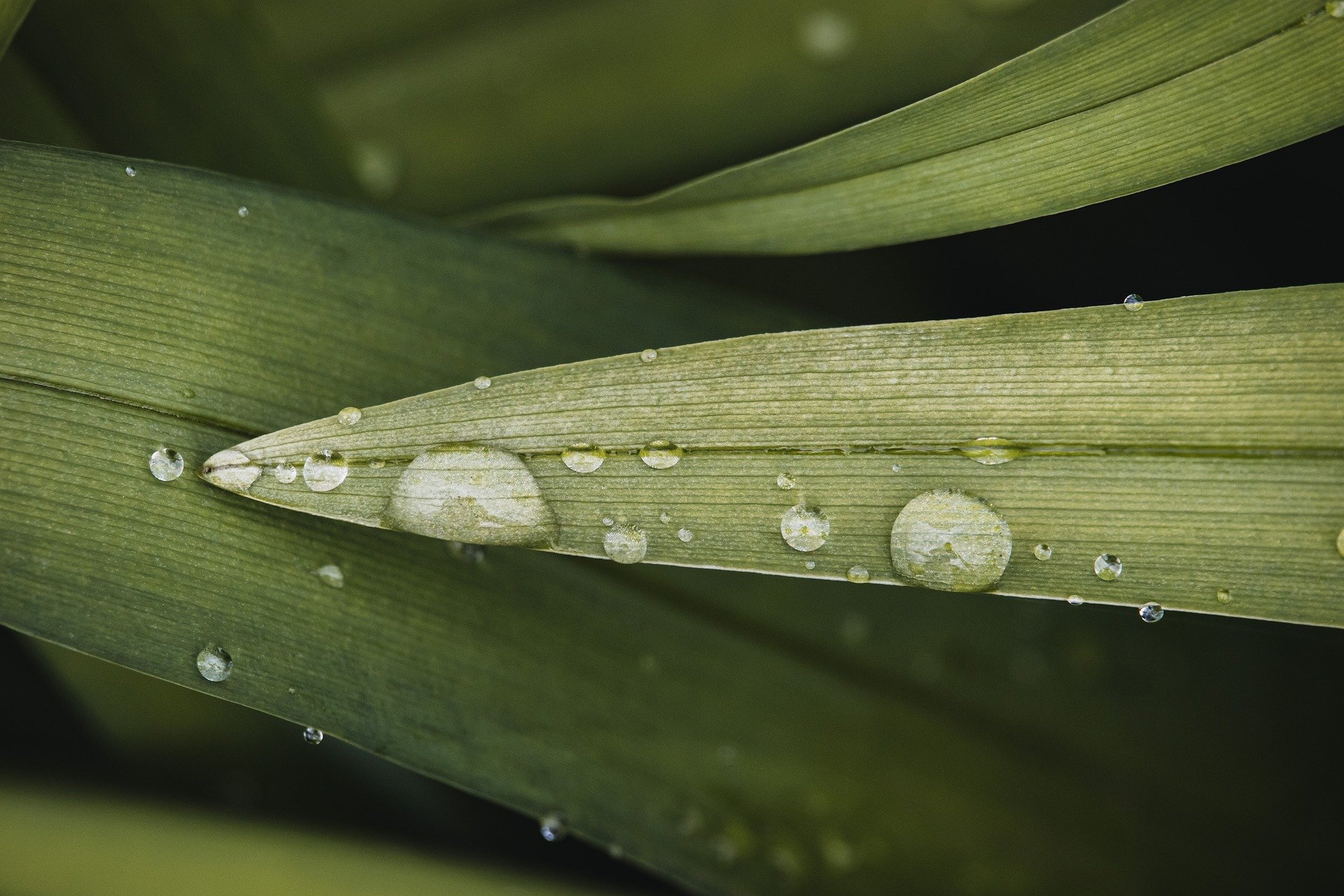 Radiofrecuencia Avanzada